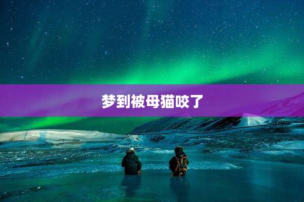 梦到被母猫咬了