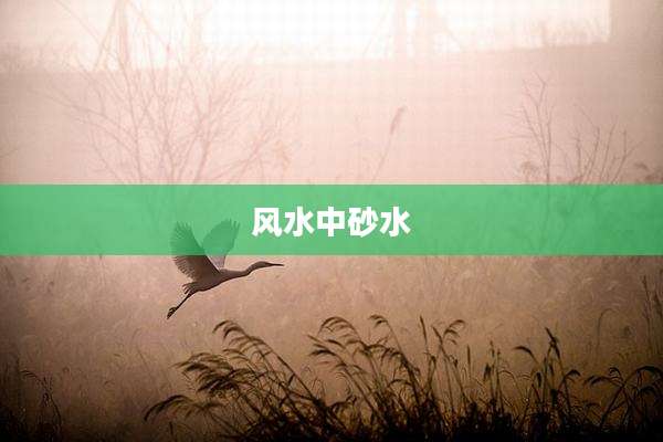风水中砂水