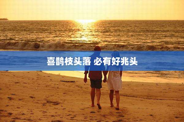 喜鹊枝头落 必有好兆头