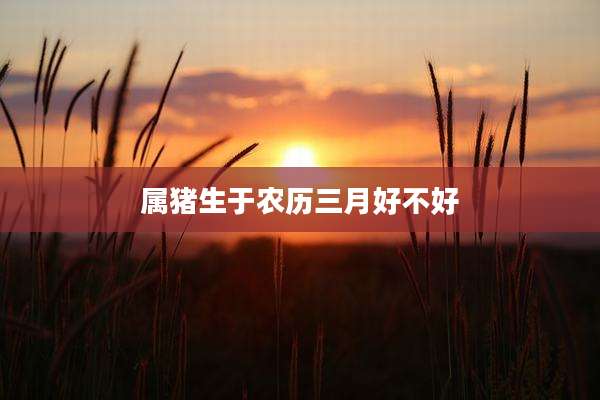 属猪生于农历三月好不好