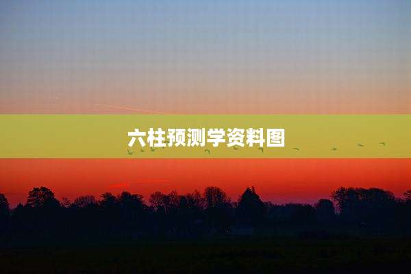 六柱预测学资料图