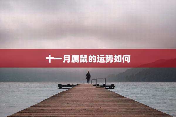 十一月属鼠的运势如何