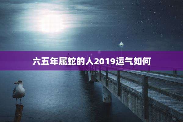 六五年属蛇的人2019运气如何