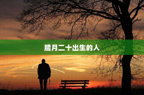 腊月二十出生的人