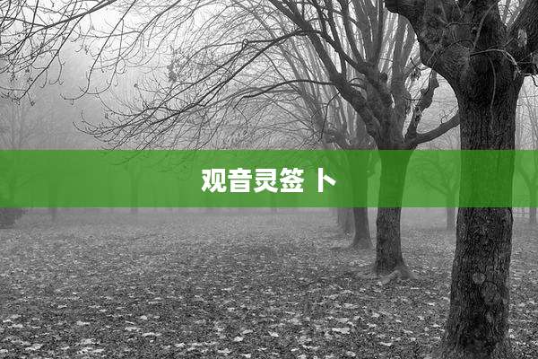 观音灵签 卜