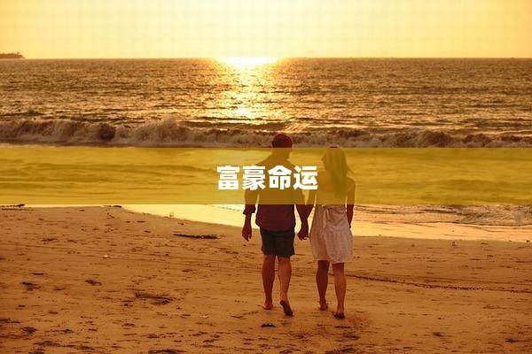 富豪命运