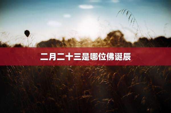 二月二十三是哪位佛诞辰