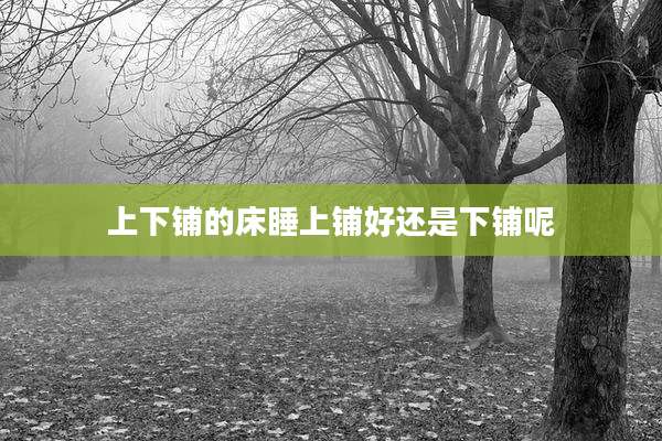 上下铺的床睡上铺好还是下铺呢