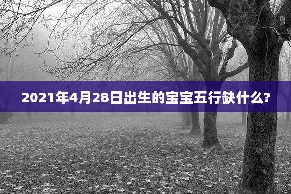 2021年4月28日出生的宝宝五行缺什么?