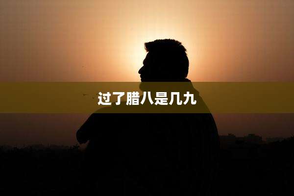 过了腊八是几九