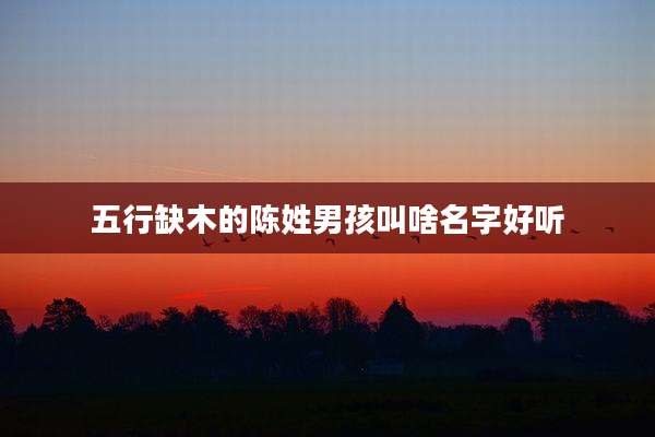 五行缺木的陈姓男孩叫啥名字好听