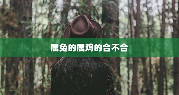 属兔的属鸡的合不合