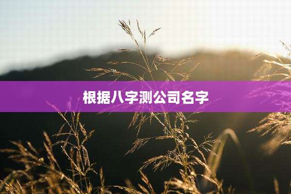 根据八字测公司名字