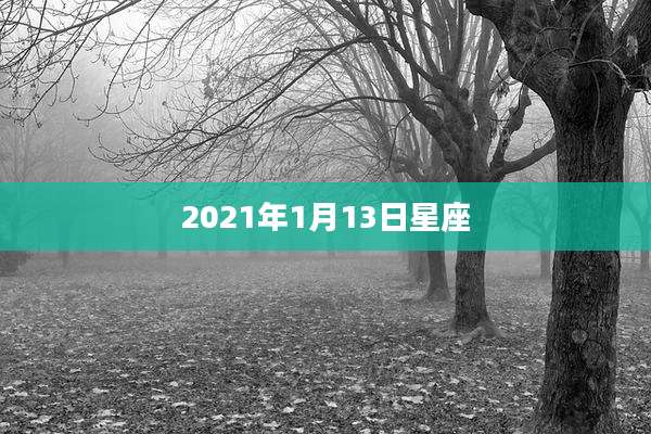 2021年1月13日星座