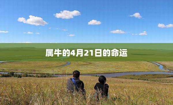 属牛的4月21日的命运