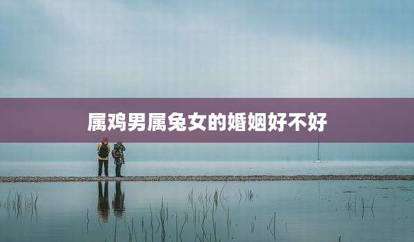 属鸡男属兔女的婚姻好不好