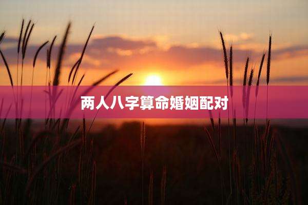 两人八字算命婚姻配对