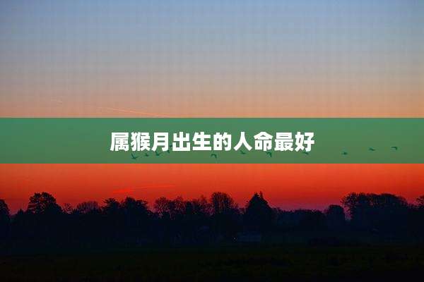 属猴月出生的人命最好
