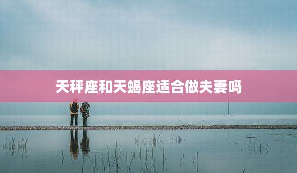 天秤座和天蝎座适合做夫妻吗