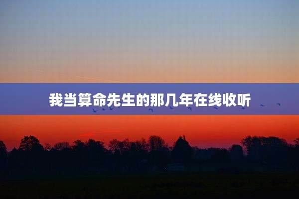 我当算命先生的那几年在线收听