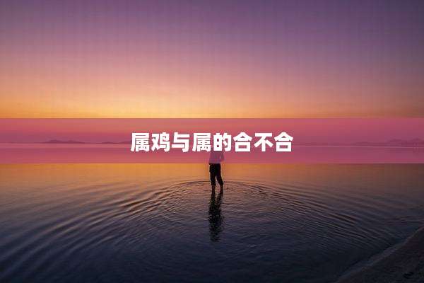 属鸡与属的合不合