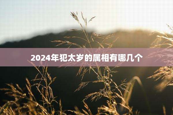 2024年犯太岁的属相有哪几个