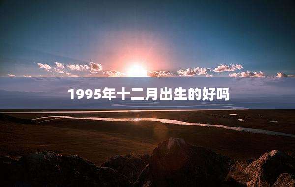 1995年十二月出生的好吗