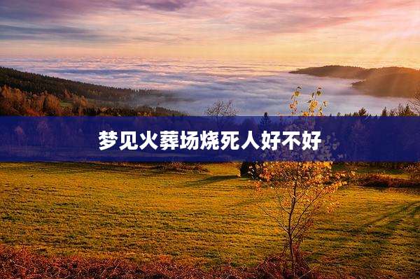 梦见火葬场烧死人好不好