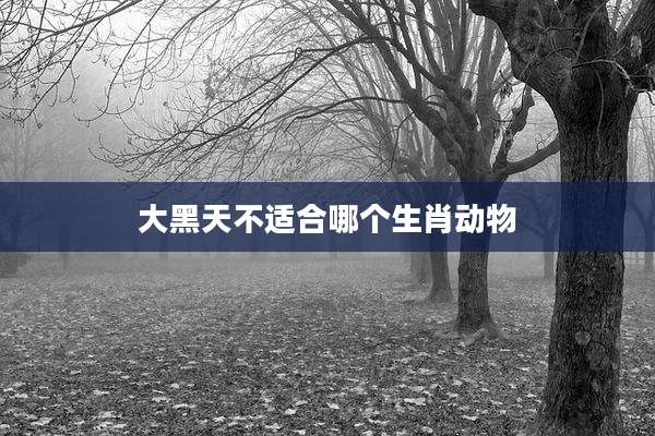 大黑天不适合哪个生肖动物