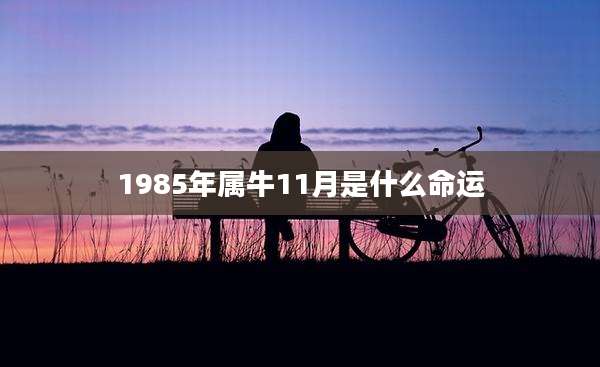 1985年属牛11月是什么命运