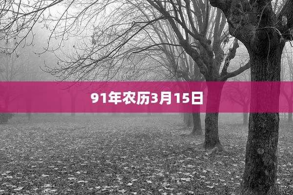 91年农历3月15日
