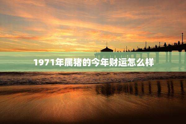 1971年属猪的今年财运怎么样