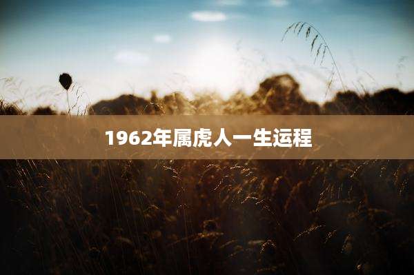 1962年属虎人一生运程