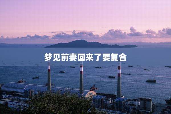 梦见前妻回来了要复合