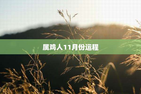 属鸡人11月份运程