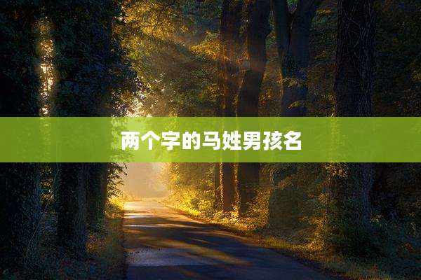 两个字的马姓男孩名