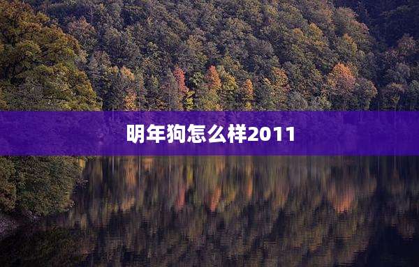 明年狗怎么样2011