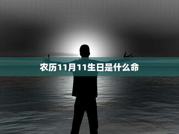 农历11月11生日是什么命