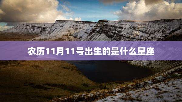 农历11月11号出生的是什么星座