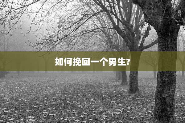 如何挽回一个男生?
