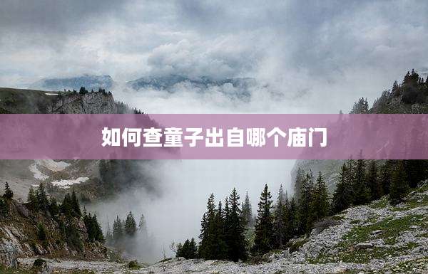 如何查童子出自哪个庙门