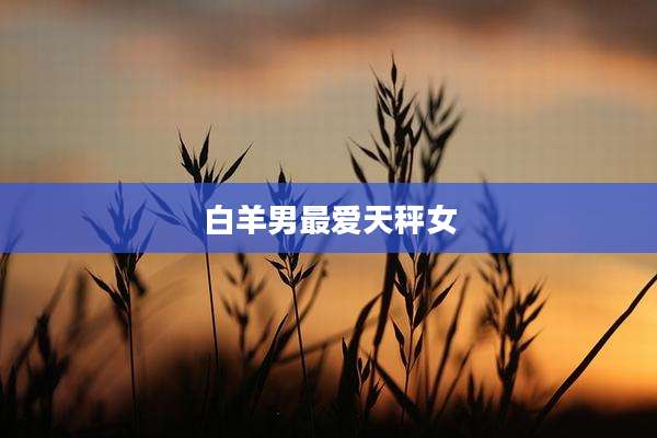 白羊男最爱天秤女