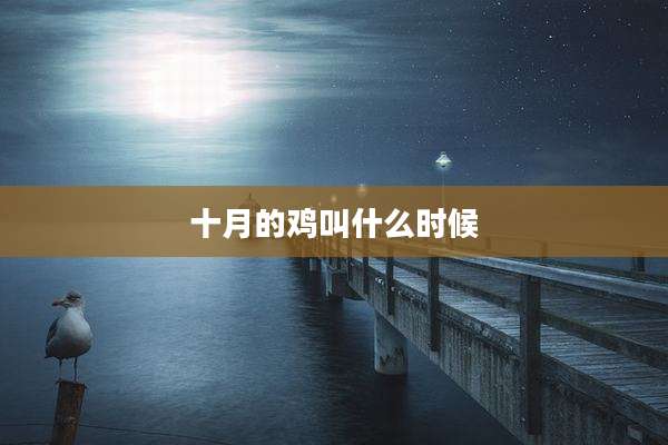 十月的鸡叫什么时候