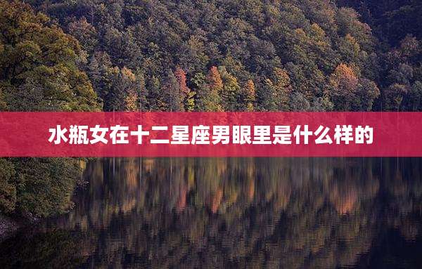水瓶女在十二星座男眼里是什么样的