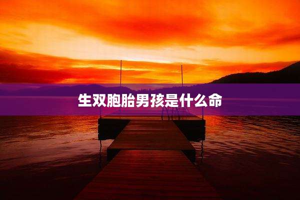 生双胞胎男孩是什么命