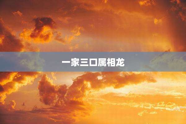 一家三口属相龙