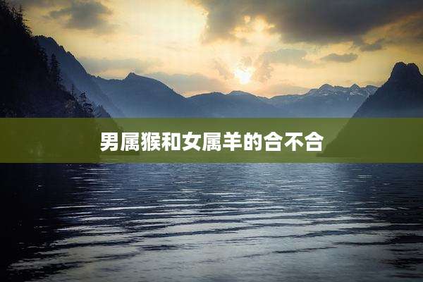 男属猴和女属羊的合不合