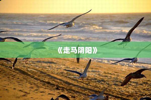 《走马阴阳》