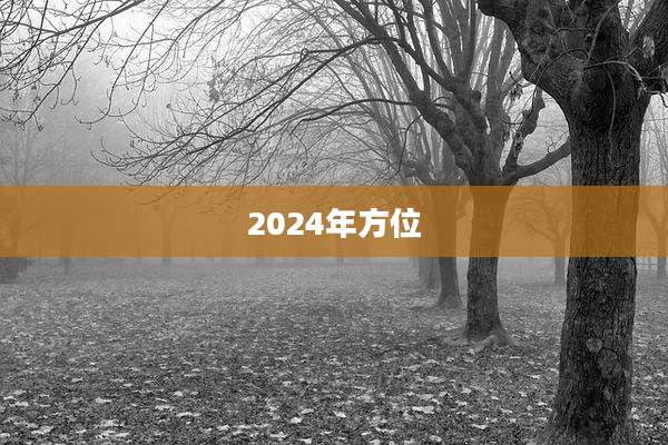 2024年方位