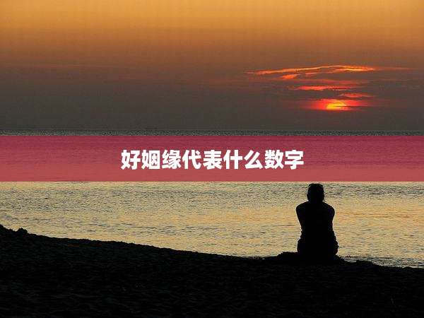 好姻缘代表什么数字